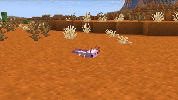 minecraft 1.26.13 apk memperbarui